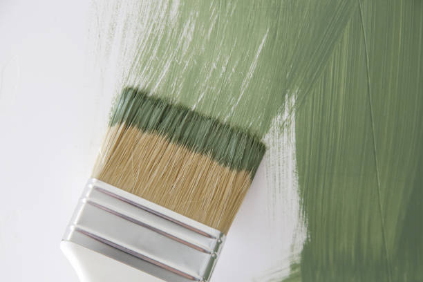 Best Commercial Mold Inspection  in Orida City, FL