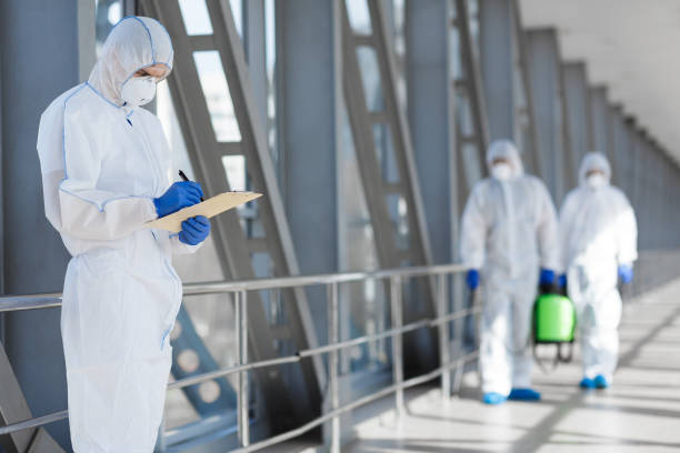 Reliable Florida City, FL Mold Removal Solutions