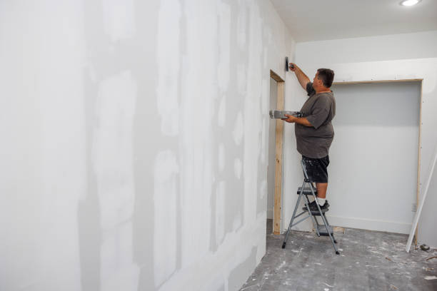 Best Forensic Mold Investigation  in Orida City, FL