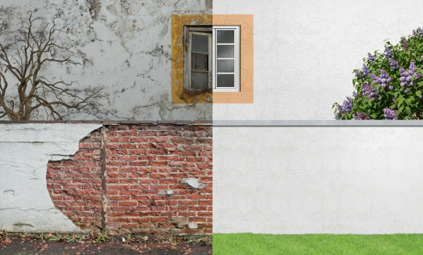 Best Basement Mold Removal  in Orida City, FL
