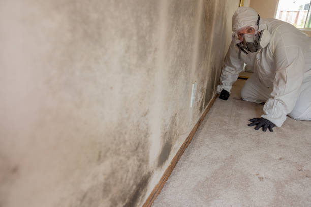 Best Air Quality Testing for Mold Spores  in Orida City, FL